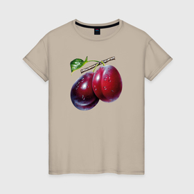Женская футболка хлопок с принтом Сочные сливы в Екатеринбурге, 100% хлопок | прямой крой, круглый вырез горловины, длина до линии бедер, слегка спущенное плечо | 