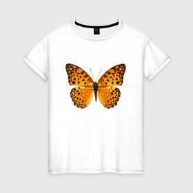 Женская футболка хлопок с принтом Оранжевая бабочка с черными пятнышками , 100% хлопок | прямой крой, круглый вырез горловины, длина до линии бедер, слегка спущенное плечо | 