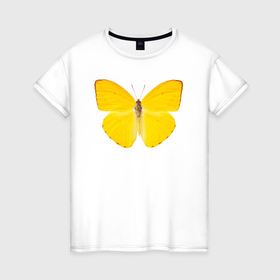 Женская футболка хлопок с принтом Яркая желтая бабочка в Новосибирске, 100% хлопок | прямой крой, круглый вырез горловины, длина до линии бедер, слегка спущенное плечо | 