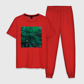 Мужская пижама хлопок с принтом Phosphor в Курске, 100% хлопок | брюки и футболка прямого кроя, без карманов, на брюках мягкая резинка на поясе и по низу штанин
 | 