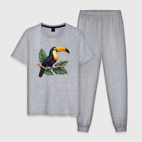 Мужская пижама хлопок с принтом Тукан тропическая птица , 100% хлопок | брюки и футболка прямого кроя, без карманов, на брюках мягкая резинка на поясе и по низу штанин
 | 
