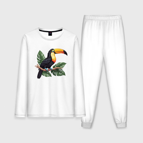 Мужская пижама с лонгсливом хлопок с принтом Тукан тропическая птица ,  |  | 