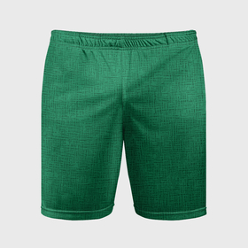 Мужские шорты спортивные с принтом Текстура зелёный однотонный в Новосибирске,  |  | 