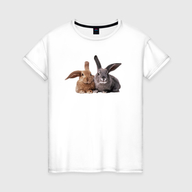 Женская футболка хлопок с принтом Бежевый и серый кролики в Кировске, 100% хлопок | прямой крой, круглый вырез горловины, длина до линии бедер, слегка спущенное плечо | 