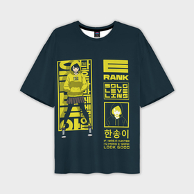 Мужская футболка oversize 3D с принтом Han Song Yi Rank E ,  |  | Тематика изображения на принте: 