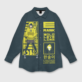 Мужская рубашка oversize 3D с принтом Han Song Yi Rank E ,  |  | Тематика изображения на принте: 