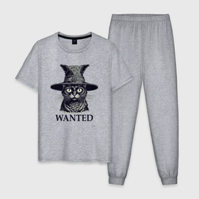 Мужская пижама хлопок с принтом Розыск кот в шляпе , 100% хлопок | брюки и футболка прямого кроя, без карманов, на брюках мягкая резинка на поясе и по низу штанин
 | 