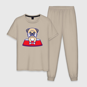 Мужская пижама хлопок с принтом Бульдог обедает в Тюмени, 100% хлопок | брюки и футболка прямого кроя, без карманов, на брюках мягкая резинка на поясе и по низу штанин
 | 