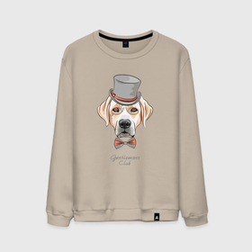 Мужской свитшот хлопок с принтом Собака с бабочкой в шляпе в Белгороде, 100% хлопок |  | 