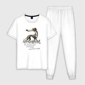 Мужская пижама хлопок с принтом Прикол собака поэт свободы , 100% хлопок | брюки и футболка прямого кроя, без карманов, на брюках мягкая резинка на поясе и по низу штанин
 | 