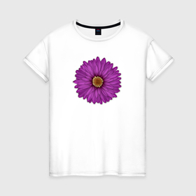 Женская футболка хлопок с принтом Фиолетовая астра в Белгороде, 100% хлопок | прямой крой, круглый вырез горловины, длина до линии бедер, слегка спущенное плечо | 