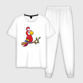 Мужская пижама хлопок с принтом Красный попугайчик в Екатеринбурге, 100% хлопок | брюки и футболка прямого кроя, без карманов, на брюках мягкая резинка на поясе и по низу штанин
 | 