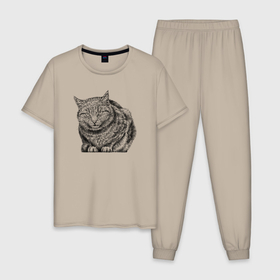 Мужская пижама хлопок с принтом Кот сидит в Курске, 100% хлопок | брюки и футболка прямого кроя, без карманов, на брюках мягкая резинка на поясе и по низу штанин
 | 