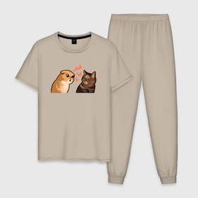 Мужская пижама хлопок с принтом Недовольный и грустный кот    Talking Cats в Тюмени, 100% хлопок | брюки и футболка прямого кроя, без карманов, на брюках мягкая резинка на поясе и по низу штанин
 | 