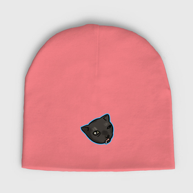 Мужская шапка демисезонная с принтом Сонный котенок ,  |  | Тематика изображения на принте: 