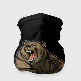 Бандана-труба 3D с принтом Бурый медведь злится в Петрозаводске, 100% полиэстер, ткань с особыми свойствами — Activecool | плотность 150‒180 г/м2; хорошо тянется, но сохраняет форму | 