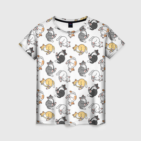 Женская футболка 3D с принтом Kitty pattern в Кировске, 100% полиэфир ( синтетическое хлопкоподобное полотно) | прямой крой, круглый вырез горловины, длина до линии бедер | 