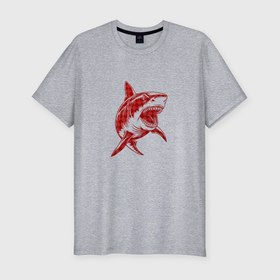 Мужская футболка хлопок Slim с принтом Тупорылая акула в Курске, 92% хлопок, 8% лайкра | приталенный силуэт, круглый вырез ворота, длина до линии бедра, короткий рукав | 