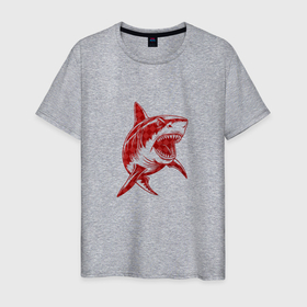 Мужская футболка хлопок с принтом Тупорылая акула в Курске, 100% хлопок | прямой крой, круглый вырез горловины, длина до линии бедер, слегка спущенное плечо. | 