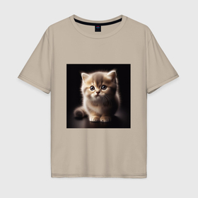 Мужская футболка хлопок Oversize с принтом Пушистый маленький котенок в Новосибирске, 100% хлопок | свободный крой, круглый ворот, “спинка” длиннее передней части | Тематика изображения на принте: 