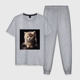 Мужская пижама хлопок с принтом Пушистый маленький котенок в Санкт-Петербурге, 100% хлопок | брюки и футболка прямого кроя, без карманов, на брюках мягкая резинка на поясе и по низу штанин
 | Тематика изображения на принте: 