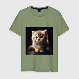 Мужская футболка хлопок с принтом Пушистый маленький котенок в Петрозаводске, 100% хлопок | прямой крой, круглый вырез горловины, длина до линии бедер, слегка спущенное плечо. | 