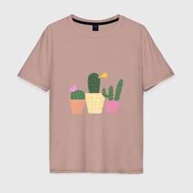 Мужская футболка хлопок Oversize с принтом Коллекция кактусов в Курске, 100% хлопок | свободный крой, круглый ворот, “спинка” длиннее передней части | 