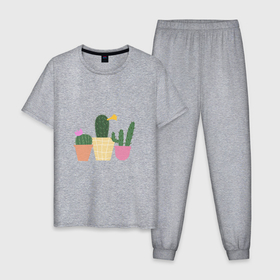 Мужская пижама хлопок с принтом Коллекция кактусов в Курске, 100% хлопок | брюки и футболка прямого кроя, без карманов, на брюках мягкая резинка на поясе и по низу штанин
 | 