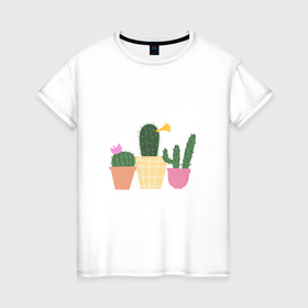 Женская футболка хлопок с принтом Коллекция кактусов в Курске, 100% хлопок | прямой крой, круглый вырез горловины, длина до линии бедер, слегка спущенное плечо | 