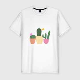 Мужская футболка хлопок Slim с принтом Коллекция кактусов в Белгороде, 92% хлопок, 8% лайкра | приталенный силуэт, круглый вырез ворота, длина до линии бедра, короткий рукав | Тематика изображения на принте: 