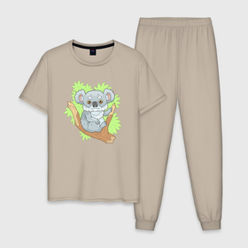 Мужская пижама хлопок с принтом Милый коала на ветке в Санкт-Петербурге, 100% хлопок | брюки и футболка прямого кроя, без карманов, на брюках мягкая резинка на поясе и по низу штанин
 | Тематика изображения на принте: 