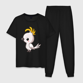 Мужская пижама хлопок с принтом Белый попугайчик в Тюмени, 100% хлопок | брюки и футболка прямого кроя, без карманов, на брюках мягкая резинка на поясе и по низу штанин
 | Тематика изображения на принте: 