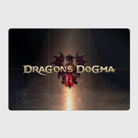 Магнитный плакат 3Х2 с принтом Dragons dogma 2 logotype в Курске, Полимерный материал с магнитным слоем | 6 деталей размером 9*9 см | Тематика изображения на принте: 