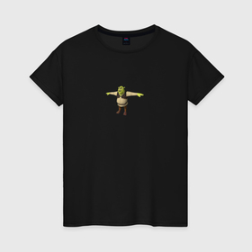 Женская футболка хлопок с принтом Шрек в 3d t pose в Тюмени, 100% хлопок | прямой крой, круглый вырез горловины, длина до линии бедер, слегка спущенное плечо | 