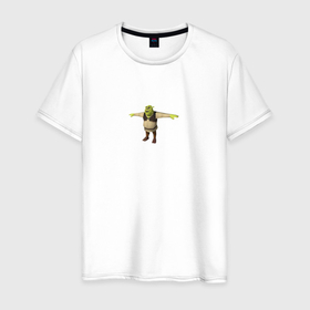 Мужская футболка хлопок с принтом Шрек в 3d t pose в Петрозаводске, 100% хлопок | прямой крой, круглый вырез горловины, длина до линии бедер, слегка спущенное плечо. | 