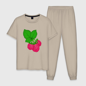 Мужская пижама хлопок с принтом Малинка в Петрозаводске, 100% хлопок | брюки и футболка прямого кроя, без карманов, на брюках мягкая резинка на поясе и по низу штанин
 | 