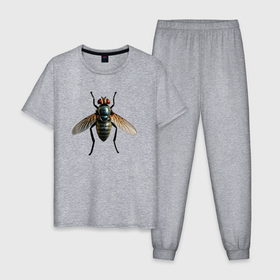Мужская пижама хлопок с принтом Гигантская муха в Тюмени, 100% хлопок | брюки и футболка прямого кроя, без карманов, на брюках мягкая резинка на поясе и по низу штанин
 | 