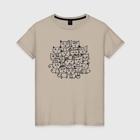 Женская футболка хлопок с принтом Прикольные котятки в Петрозаводске, 100% хлопок | прямой крой, круглый вырез горловины, длина до линии бедер, слегка спущенное плечо | 