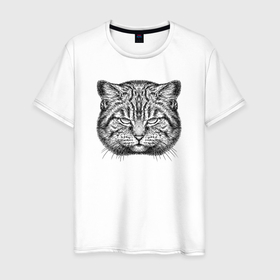 Мужская футболка хлопок с принтом Серьезный кот , 100% хлопок | прямой крой, круглый вырез горловины, длина до линии бедер, слегка спущенное плечо. | Тематика изображения на принте: 