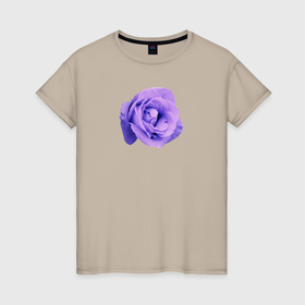 Женская футболка хлопок с принтом Фиолетовая роза кистью в Белгороде, 100% хлопок | прямой крой, круглый вырез горловины, длина до линии бедер, слегка спущенное плечо | Тематика изображения на принте: 