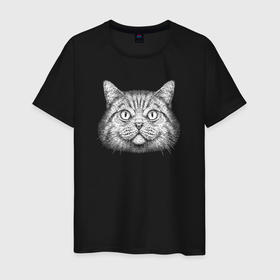 Мужская футболка хлопок с принтом Глазастый кот в Тюмени, 100% хлопок | прямой крой, круглый вырез горловины, длина до линии бедер, слегка спущенное плечо. | Тематика изображения на принте: 