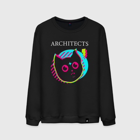 Мужской свитшот хлопок с принтом Architects rock star cat в Кировске, 100% хлопок |  | Тематика изображения на принте: 