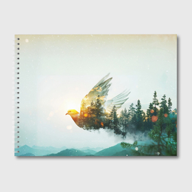 Альбом для рисования с принтом Летящий голубь и лес эффект двойной экспозиции в Курске, 100% бумага
 | матовая бумага, плотность 200 мг. | 