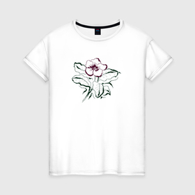 Женская футболка хлопок с принтом Цветок яблони в Курске, 100% хлопок | прямой крой, круглый вырез горловины, длина до линии бедер, слегка спущенное плечо | 