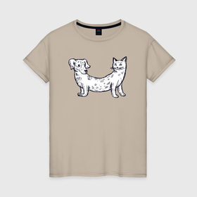 Женская футболка хлопок с принтом Пёс и кот в Новосибирске, 100% хлопок | прямой крой, круглый вырез горловины, длина до линии бедер, слегка спущенное плечо | 