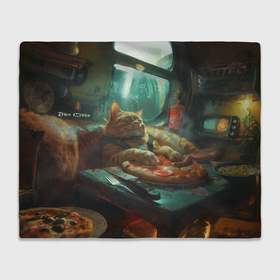 Плед 3D с принтом Рыжий кот лежит на диване и пицце в Кировске, 100% полиэстер | закругленные углы, все края обработаны. Ткань не мнется и не растягивается | 