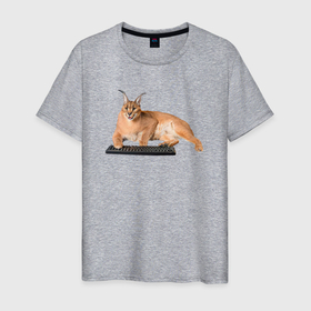 Мужская футболка хлопок с принтом Большой кот Шлепа с клавиатурой , 100% хлопок | прямой крой, круглый вырез горловины, длина до линии бедер, слегка спущенное плечо. | 