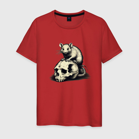 Мужская футболка хлопок с принтом Rat on skull , 100% хлопок | прямой крой, круглый вырез горловины, длина до линии бедер, слегка спущенное плечо. | 