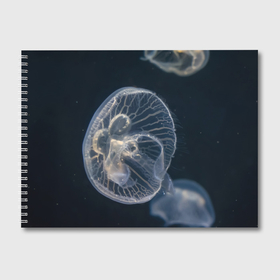 Альбом для рисования с принтом Лунная медуза в Екатеринбурге, 100% бумага
 | матовая бумага, плотность 200 мг. | Тематика изображения на принте: 