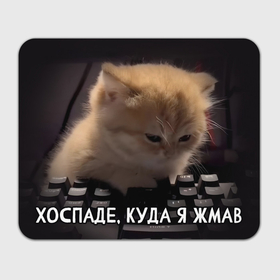 Прямоугольный коврик для мышки с принтом Куда я жмав   офисный кот в Ухте, натуральный каучук | размер 230 х 185 мм; запечатка лицевой стороны | 